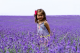 Mayfield Lavender Mayfield Lavender