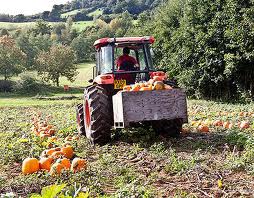 Priory Farm