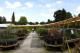 Ashtead Park Garden Centre