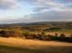 Newlands Corner Newlands Corner