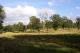 Whitmoor Common Whitmoor Common