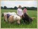 Shetland Pony Club Shetland Pony Club