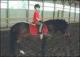 Cliff Hatch Stables Cliff Hatch Stables