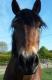 Kiln Stables Riding School Kiln Stables Riding School