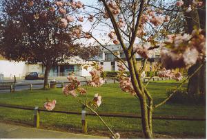 Cranleigh Leisure Centre