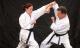 Karate-Kid