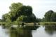 Bushy Park Bushy Park
