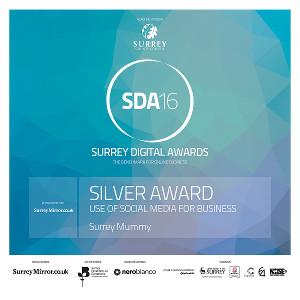 Surrey Digital Awards