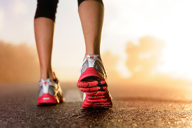 Gyms & mobile personal trainers