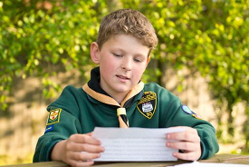 Cub groups in Surrey