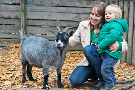 Farms, zoos & animals