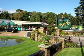 Garden centres in Surrey