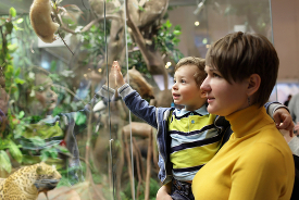 Museums & exhibitions